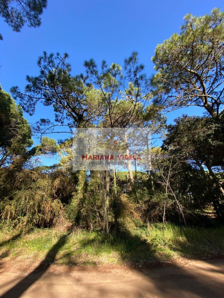 TERRENO EN VENTA EN CARILO. ZONA 2. FRENTE AL TENIS. EXCLUSIVA UBICACION. 