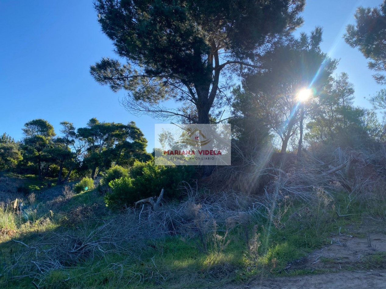 Terreno en venta en North Beach, barrio Santa Monica. Oportunidad!