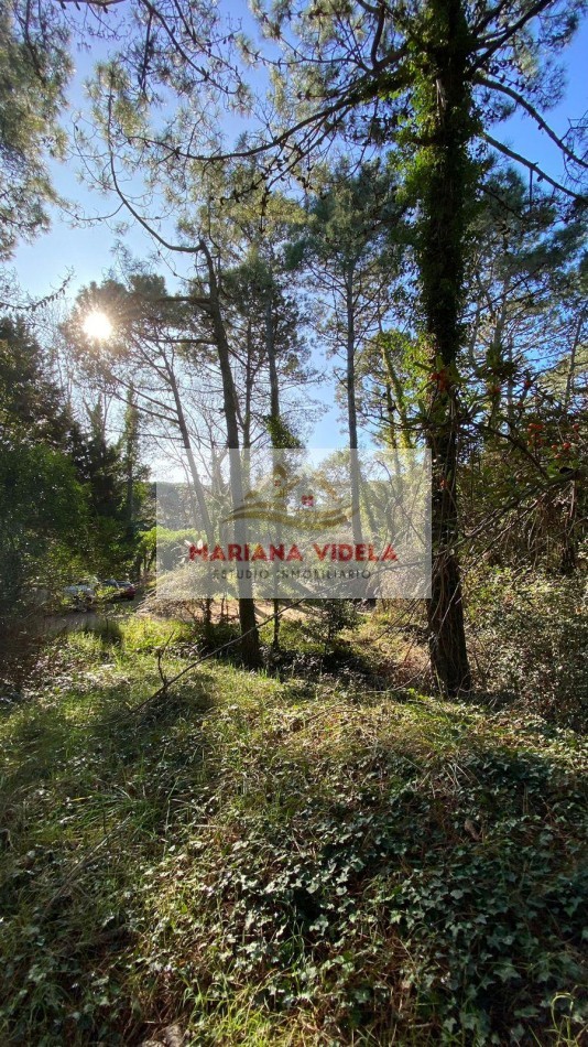 TERRENO EN VENTA EN CARILO. ZONA 2. FRENTE AL TENIS. EXCLUSIVA UBICACION. 