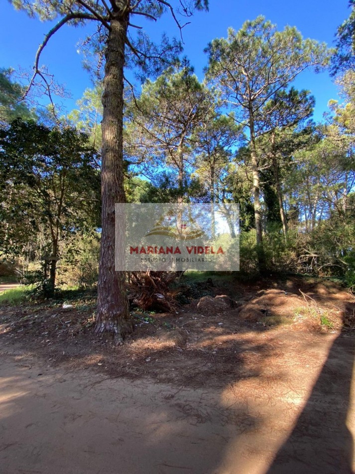 TERRENO EN VENTA EN CARILO. ZONA 2. FRENTE AL TENIS. EXCLUSIVA UBICACION. 