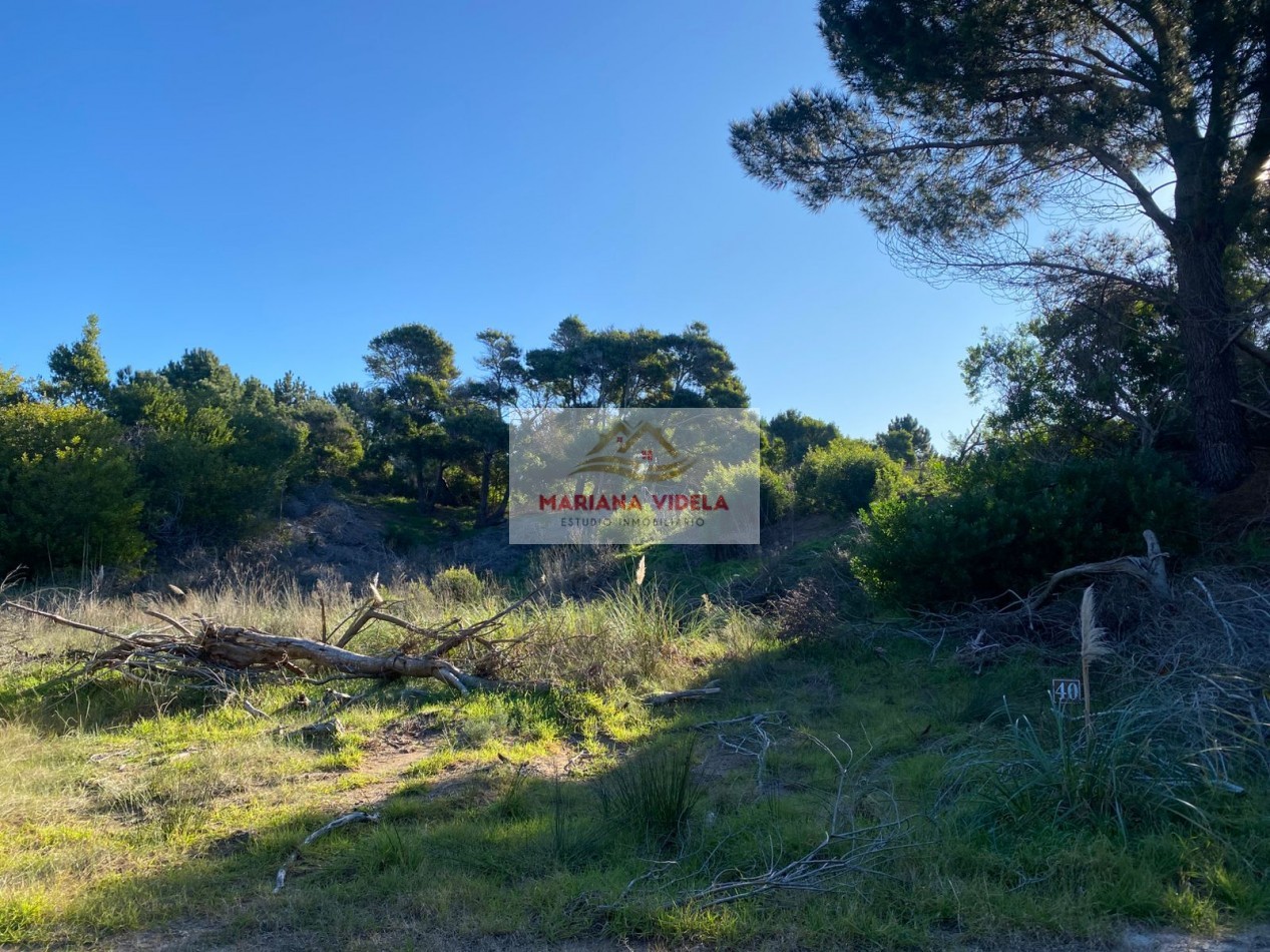 Terreno en venta en North Beach, barrio Santa Monica. Oportunidad!
