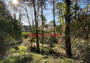 TERRENO EN VENTA EN CARILO. ZONA 2. FRENTE AL TENIS. EXCLUSIVA UBICACION. RETASADO!