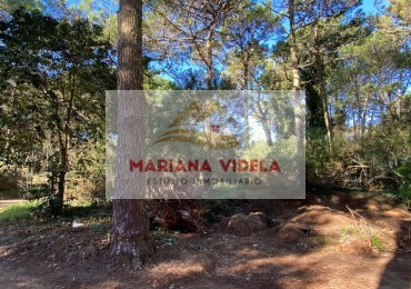 TERRENO EN VENTA EN CARILO. ZONA 2. FRENTE AL TENIS. EXCLUSIVA UBICACION. 